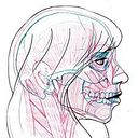 Lucía Navarro Ferrandis