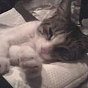 Marilyn Julieth Flechas Paipa