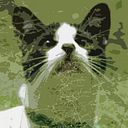 Maria Paula Gonzalez Fajardo