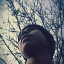 Ivan Co