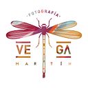 Vega Martín