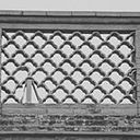 Laura Carrasco Morón