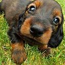 Vanesa Pedriel Chavez