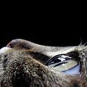 Abraham Garcia Amudio