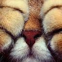 David De Diego Humanes