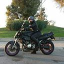 Lourdes Montalvo Moreno