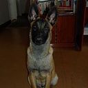 Stéphanie Fernández Olarte