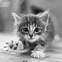 Samantha Sivoney Solis Marin