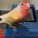 Alicia Martinez Martinez