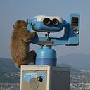 Salvador Morant Rodenas