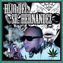 Pedrito Hernandez