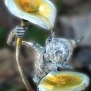 Janet Val Triboullier