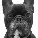 Marcos Míguez Puhinger