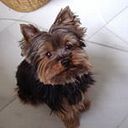 Lupe Paton Contreras