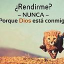 Alexander Mendocilla E