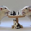 Carlos Sánchez Barbado