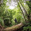 Jose Francisco Morros Gonzalez