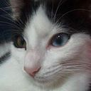 Miguel Angel Vega Florez