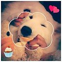 Katalina Vasquez Benitez