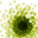 Irismedia, Agencia de Medios