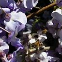 Soledad Perez Hidalgo