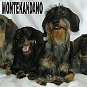 Encarna Tudela