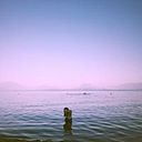 Katherine Mella Escobar