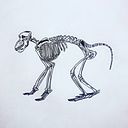 Gëremy Fuster Garcia