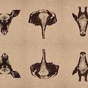 Margarita Rozas Málaga