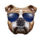 Ivan Gascon Izarzugaza