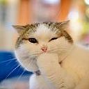 Sandra Culma Salsedo