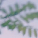 silviahernandoalvarez