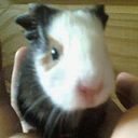 Eltallercito Serigrafico