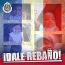 Jose Figueroa Torres