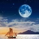 Kevin Jimenez Hernandez