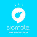 Bigmole Full Media Service Company