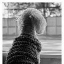 Bernardo Juan Stroppi