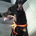 Enrique Mayorca Mantilla