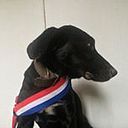 Marx Ariel Pereira Peña