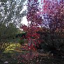 Marisol Sánchez Gómez