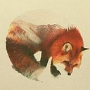 Francisco Prieto Cuba