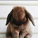 Daniela Stephany Quispe Vargas