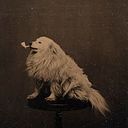 Alejandro Prieto de la Torre