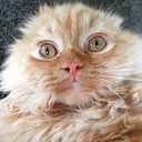 Diego Pérez Fernández