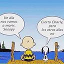 Alejandra Santisteban