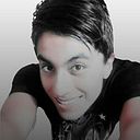 Gerber Torres Calongos