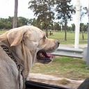 Marcelo Lopez Ullmann