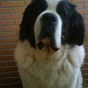 Eduardo Bautista Vazquez