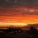 Paulina Flores Peñaloza