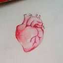 MARIA BARRIOS ALVAREZ